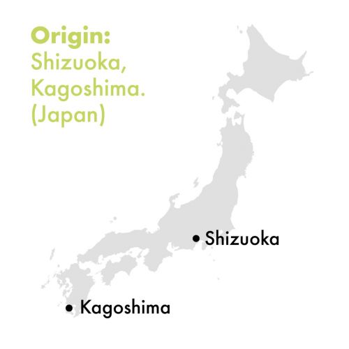 Japan Beginner's Matcha BIO 30g