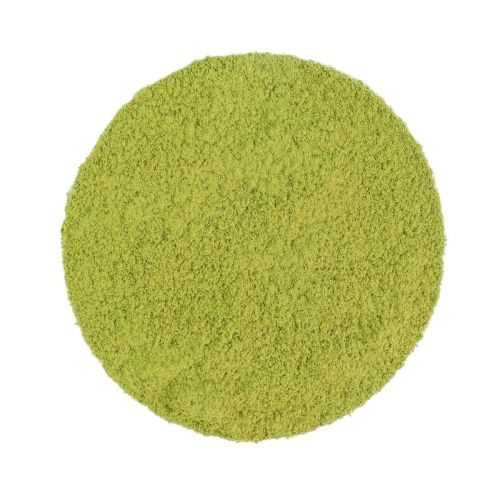 Japan Beginner's Matcha BIO 30g